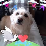 Phyllis Grubb - Facebook