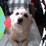 Phyllis Grubb - Facebook