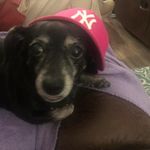 Phyllis Grubbs-Anizan - @panizan - Instagram