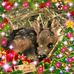 Phyllis Haas - Facebook