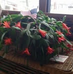 Phyllis Hammer Richardson - Facebook