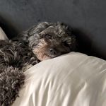 Phyllis Hammond - @knewchapters - Instagram