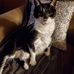 Phyllis Hammond - Facebook