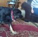 Phyllis Hanna - Facebook