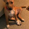 phyllisharding505 - @phyllisharding505 - TikTok