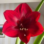 Phyllis Havens - @pdhavens - Instagram