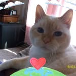 Phyllis Hawley - @phyllis.hawley.58 - Instagram
