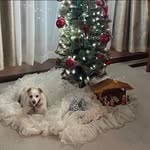 Phyllis Hays - @phyllis.hays.12 - Instagram