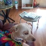Phyllis Hart - Facebook