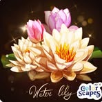 Phyllis Hebert - Facebook