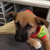 PhyllisHebert - @phyllishebertzsteqvix - TikTok