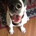 Phyllis Hein - Facebook