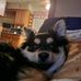 Phyllis Herndon - Facebook