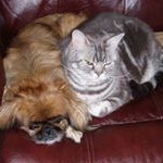 Phyllis Ann Hinkle-satterlee - @hinklesatterlee - Instagram