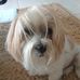 Phyllis Hirsch - Facebook