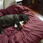 Phyllis Hirsch - @memephyllis4 - Instagram