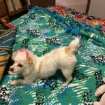 Phyllis  Hodge - @mertphyl23 - Instagram