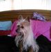 Phyllis Hubbard - Facebook