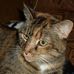 Phyllis Huber - Facebook