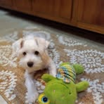 Phyllis Huff - Facebook
