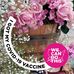 Phyllis Hunt - Facebook