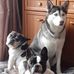 Phyllis Hurst - Facebook