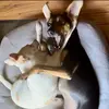 Phyllis - @phyllis.ideas - TikTok