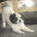 Phyllis Ide - Facebook
