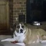 Phyllis Ingle - @peingle - Instagram