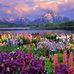 Phyllis Jacobsen Mehlmann - Facebook
