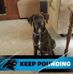 Phyllis Joyner - Facebook