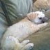 Phyllis Kaiser - Facebook