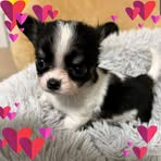 Phyllis Kehoe - Facebook