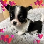 Phyllis Kehoe - @phyllis.kehoe - Instagram