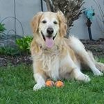 Phyllis Kessler Irvine - @pkirvine - Instagram