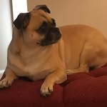 Phyllis Kidd-Newsome - @kiddnewsome - Instagram