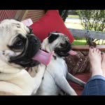 Phyllis Kilpatrick - @the_kilpatrick_grumble - Instagram