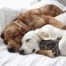 Phyllis Kimball - Facebook