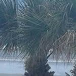 Phyllis Kiser - @phylliskiser - Instagram
