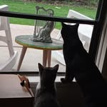 Phyllis Kitchen - @phyllis.kitchen2 - Instagram