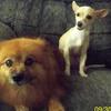 phyllistyreeknott - @phyllistyreeknott - TikTok
