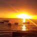 Phyllis Kraus - Facebook