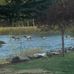 Phyllis Krueger - Facebook