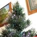Phyllis Krueger - Facebook