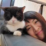 Phyllis Lam - @phyllisthecats - Instagram