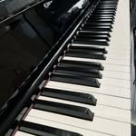 Phyllis Lam - @masterace_piano - Instagram