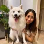 Phyllis Lam - @phy148 - Instagram