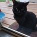 Phyllis Lamontagne - Facebook