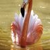 Phyllis Leblanc - Facebook