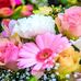 Phyllis Leibowitz - Facebook